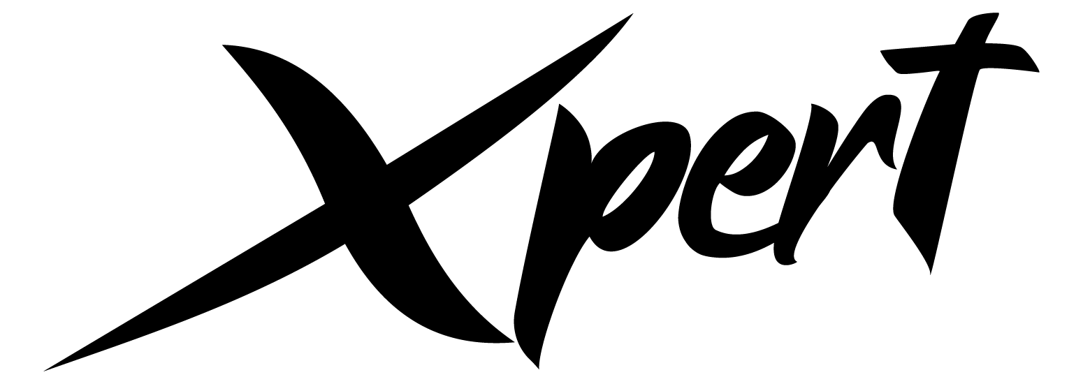 Xpert Digital