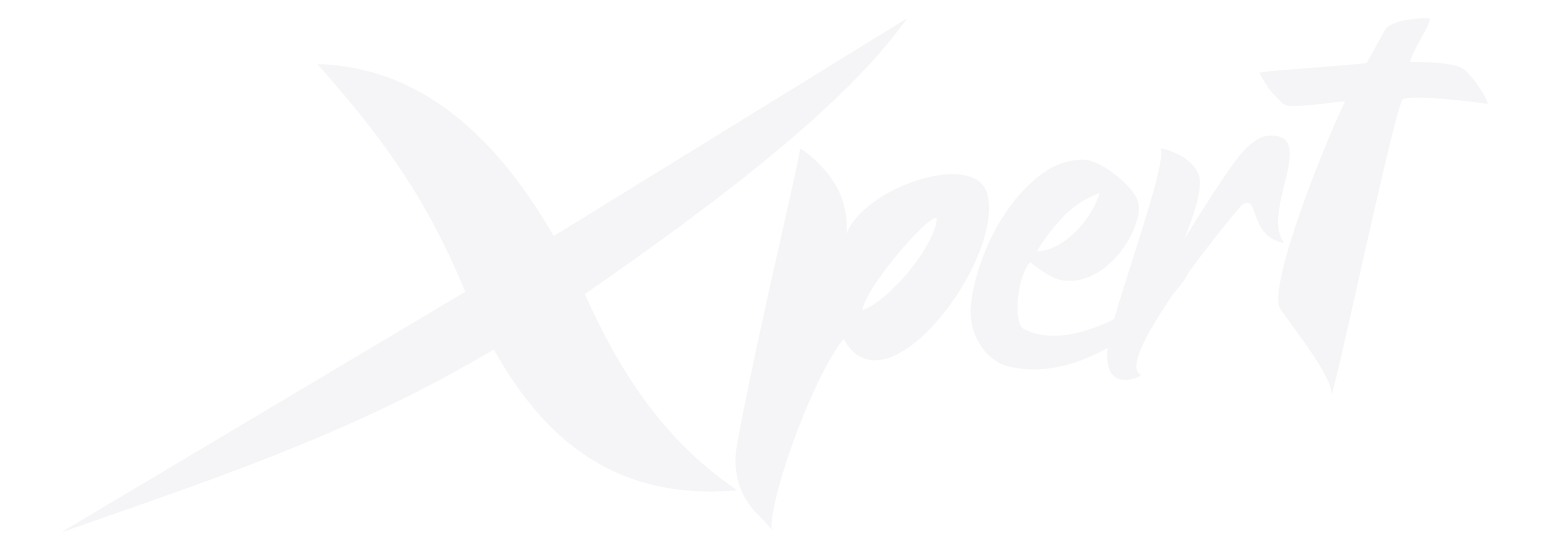 Xpert Digital