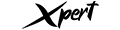 Xpert Digital